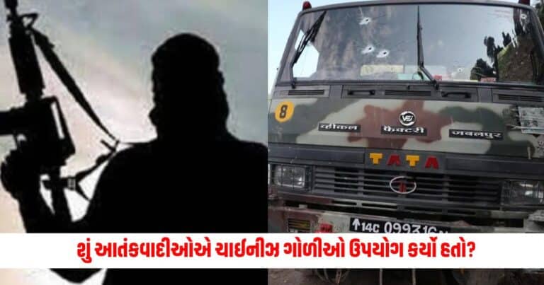 Kathua Terror Attack : શું કઠુઆમાં આતંકવાદીઓએ ચાઈનીઝ ગોળીઓ અને ગ્રેનેડનો ઉપયોગ કર્યો હતો?