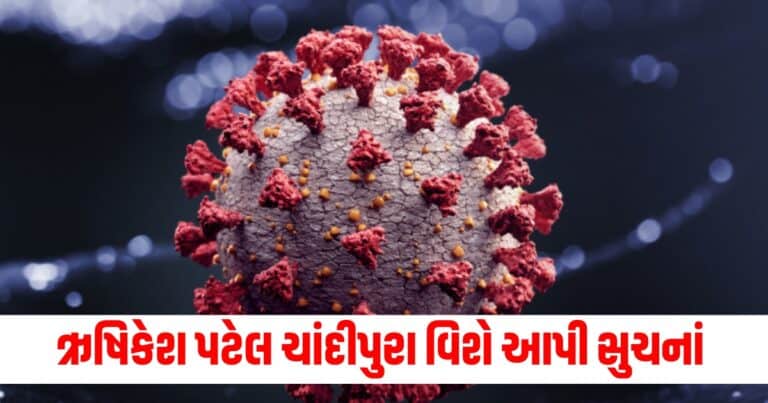 Chandipura Virus, Latest Gujarat update, live Gujarat news, Gujarat news, Gujarat samchaar, todays latest Gujarat news, gujarati samchaar, Gujarat, Gujarat news, current Gujarat update, Gujarat headline, shantishram, Gujarat update 2024