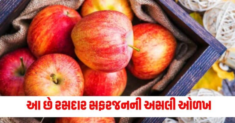 Tips to buy juicy apples, Latest Food News In Gujarati, live food update , food headline, today’s food recipe, current food recipe, top food recipe, latest food update, live food recipe, shantishram food recipe, food update, food news, food tips, latest food tips recipe, live food tips, shantishram food tips,