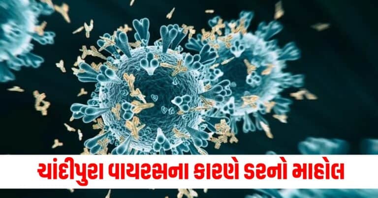 Chandipura Virus News, Latest Gujarat update, live Gujarat news, Gujarat news, Gujarat samchaar, todays latest Gujarat news, gujarati samchaar, Gujarat, Gujarat news, current Gujarat update, Gujarat headline, Gujarat update 2024,