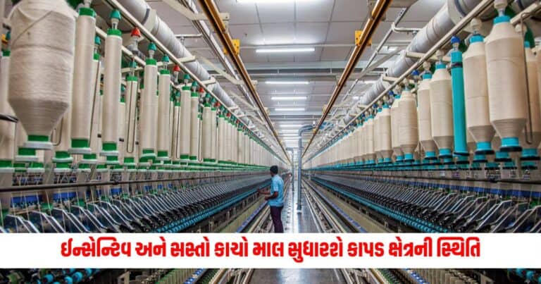 Budget 2024: ઈન્સેન્ટિવ અને સસ્તો કાચો માલ સુધારશે કાપડ ક્ષેત્રની સ્થિતિ