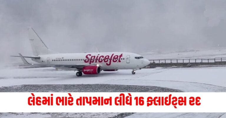 SpiceJet, : india news, india news in gujarati, latest news india, india news today, national news, latest news national, national news today, national news in gujarati, top news in india, breaking news india, india news today, news today india, current news in india, india news online, latest news india today, news update india, news headlines india, breaking news india today, bharat, bharat news, latest news india today, રાષ્ટ્રીય સમાચાર, નેશનલ ન્યૂઝ, ભારત સમાચાર, ઇન્ડિયા ન્યુઝ, Live International Update, Latest International News, Today’s International Update, International Headline, Top International News,