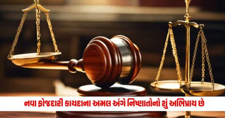 New Criminal Law : જાણો, નવા ફોજદારી કાયદાના અમલ અંગે નિષ્ણાતોનો શું અભિપ્રાય છે