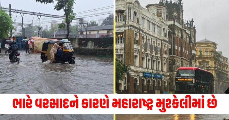 Mumbai Pune Rains, india news, india news in gujarati, latest news india, india news today, national news, latest news national, national news today, national news in gujarati, top news in india, breaking news india, india news today, news today india, current news in india, india news online, latest news india today, news update india, news headlines india, breaking news india today, bharat, bharat news, latest news india today