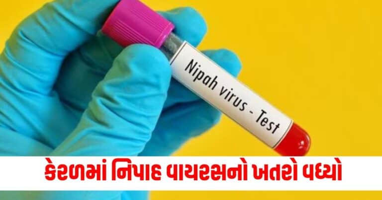 Nipah Virus, india news, india news in gujarati, latest news india, india news today, national news, latest news national, national news today, national news in gujarati, top news in india, breaking news india, india news today, news today india, current news in india, india news online, latest news india today, news update india, news headlines india, breaking news india today, bharat, bharat news, latest news india today, રાષ્ટ્રીય સમાચાર, નેશનલ ન્યૂઝ, ભારત સમાચાર, ઇન્ડિયા