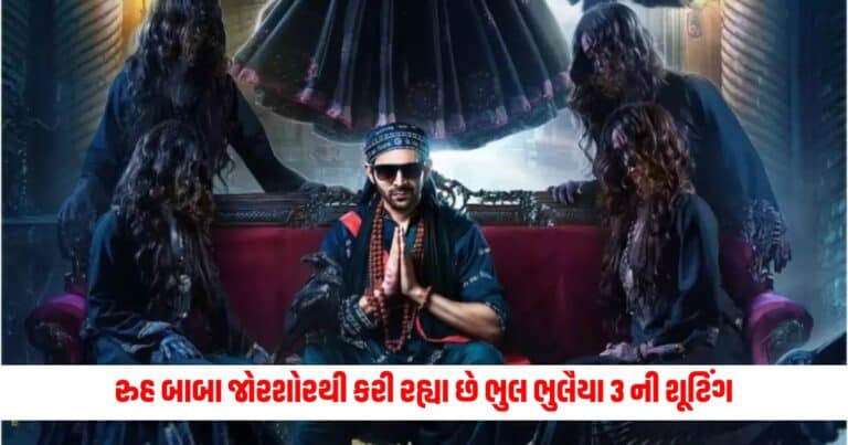 Entertainment News: રુહ બાબા જોરશોરથી કરી રહ્યા છે ભુલ ભુલૈયા 3 ની શૂટિંગ