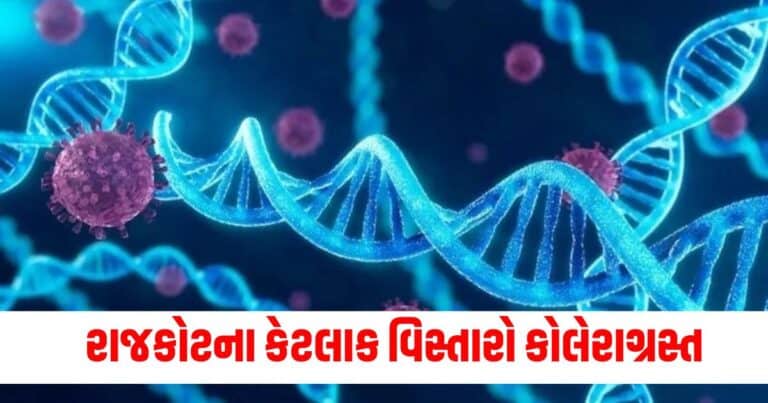 Rajkot News : રાજકોટના કેટલાક વિસ્તારોને કરાયા કોલેરાગ્રસ્ત જાહેર, બે કેસ નોંધાયા બાદ લેવાયા પગલાં