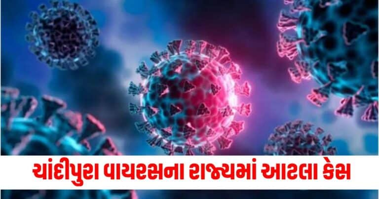 Gujarat, gujarat news, gujarat news today, latest news gujarat, gujarat news live, today gujarat news, gujarat news in gujarati, latest gujarat news, news gujarat, gujarat top news, latest gujarat news, gujarat crime news, gujarat politics news, gujarat live, gujarat news live today, current news gujarat, latest news gujarat today, recent news in Gujarat, latest news gujarat today, gujarat news