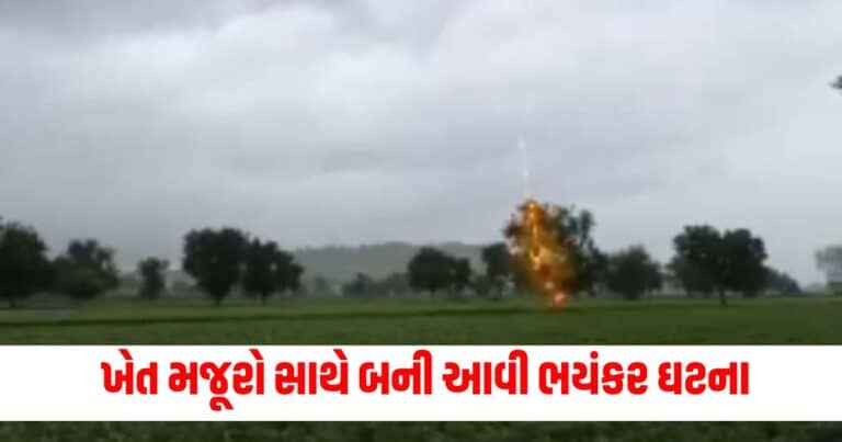 Sabarkantha News, gujarat news, gujarat news today, latest news gujarat, gujarat news live, today gujarat news, gujarat news in gujarati, latest gujarat news, news gujarat, gujarat top news, latest gujarat news, gujarat crime news, gujarat politics news, gujarat live, gujarat news live today, current news gujarat, latest news gujarat today, recent news in Gujarat, latest news gujarat today, gujarat news