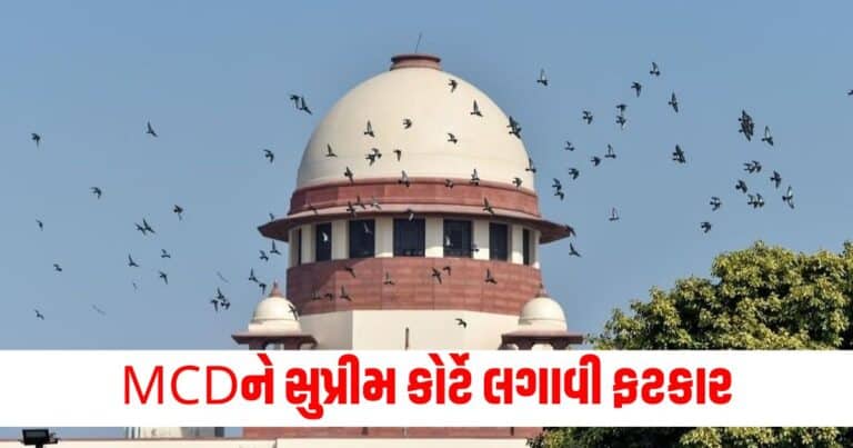 Supreme Court, india news, india news in gujarati, latest news india, india news today, national news, latest news national, national news today, national news in gujarati, top news in india, breaking news india, india news today, news today india, current news in india, india news online, latest news india today, news update india, news headlines india, breaking news india today, bharat, bharat news, latest news india today,