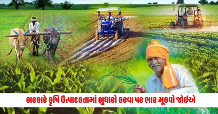 Business News : સરકારે કૃષિ ઉત્પાદકતા અને પુરવઠા શૃંખલામાં સુધારો કરવા પર ભાર મૂકવો જોઈએ