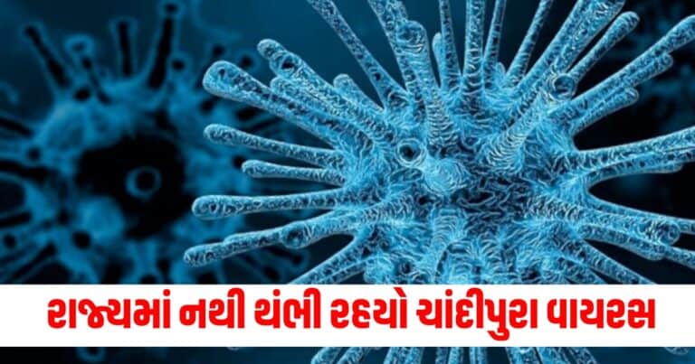 Chandipura Virus, gujarat news, gujarat news today, latest news gujarat, gujarat news live, today gujarat news, gujarat news in gujarati, latest gujarat news, news gujarat, gujarat top news, latest gujarat news, gujarat crime news, gujarat politics news, gujarat live, gujarat news live today, current news gujarat, latest news gujarat today, recent news in Gujarat, latest news gujarat today, gujarat news