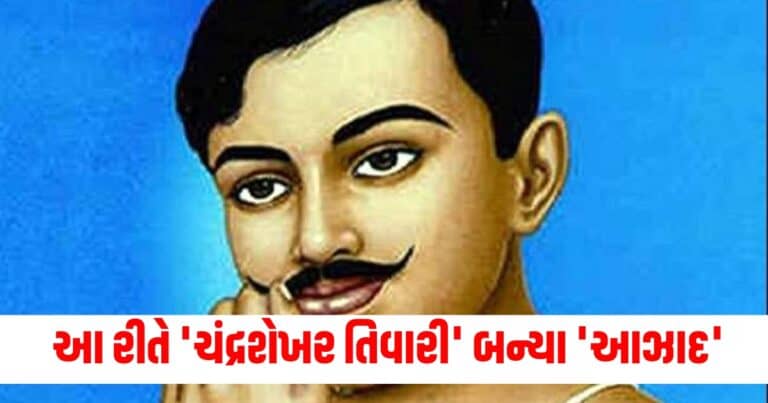 Chandrashekhar Azad Jayant, india news, india news in gujarati, latest news india, india news today, national news, latest news national, national news today, national news in gujarati, top news in india, breaking news india, india news today, news today india, current news in india, india news online, latest news india today, news update india, news headlines india, breaking news india today, bharat, bharat news, latest news india today