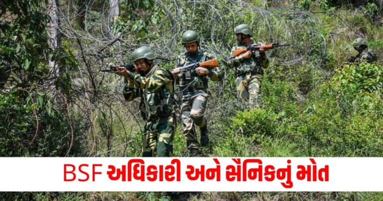 Gujarat, Latest Gujarat update, live Gujarat news, Gujarat news, Gujarat samchaar, todays latest Gujarat news, gujarati samchaar, Gujarat, Gujarat news, current Gujarat update, Gujarat headline, Gujarat update 2024,