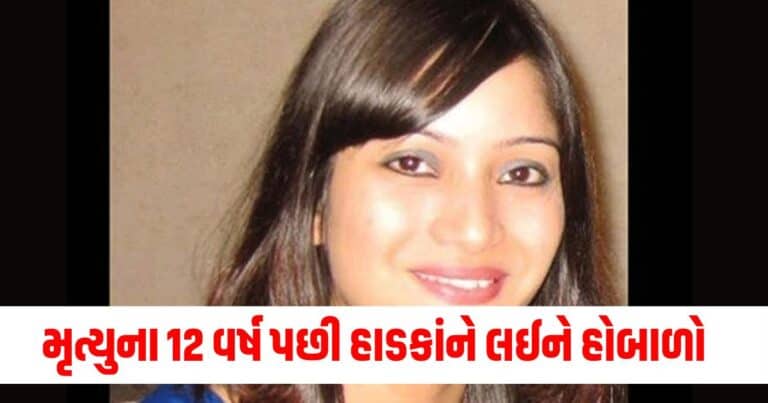 Sheena Bora Murder Case : મૃત્યુના 12 વર્ષ પછી તેના હાડકાંને લઈને શા માટે હોબાળો થયો?