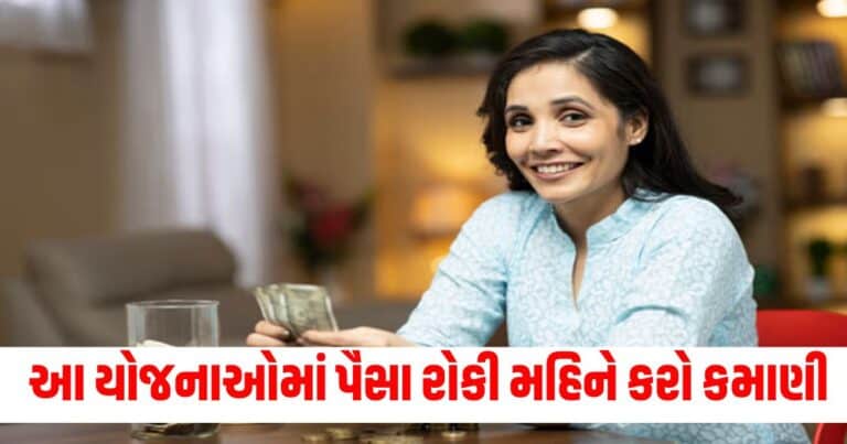 Investment Plan, Latest business update, live business news, business headline, business update 2024, today’s business news, current business update, business update, Gujarat, india