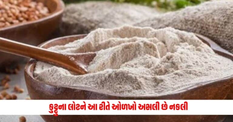 Food News : ભેળસેળવાળો કુટ્ટુનો લોટ સ્વાસ્થ્યને નુકસાન પહોંચાડી શકે છે, આ રીતે ઓળખો અસલી અને નકલી