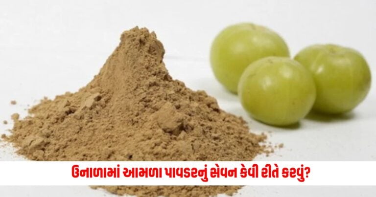 Amla Powder: ઉનાળામાં આમળા પાવડરનું સેવન કેવી રીતે કરવું? જાણો 3 રીત