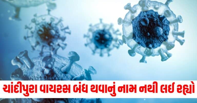 Chandipura Virus, india news, india news in gujarati, latest news india, india news today, national news, latest news national, national news today, national news in gujarati, top news in india, breaking news india, india news today, news today india, current news in india, india news online, latest news india today, news update india, news headlines india, breaking news india today, bharat, bharat news, latest news india today