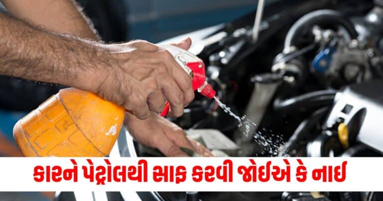 Auto Care Tips : કારના મોંઘા ભાગો પેટ્રોલથી સાફ કરવા જોઈએ કે નાઈ, જાણો