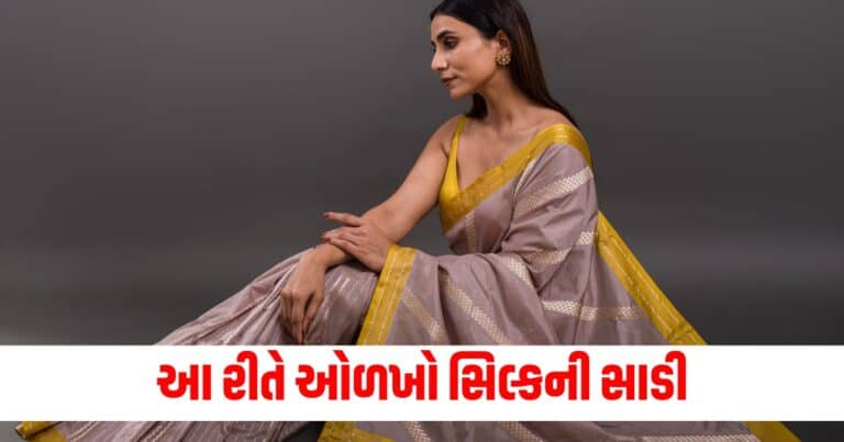 Silk Saree Latest fashion tips, live fashion update 2024, fashion news, fashion update, shantishram fashion tips, fashion headline, fashion news 2024, today’s fashion update, current live fashion news, fashion, Gujarat, india, shantishram