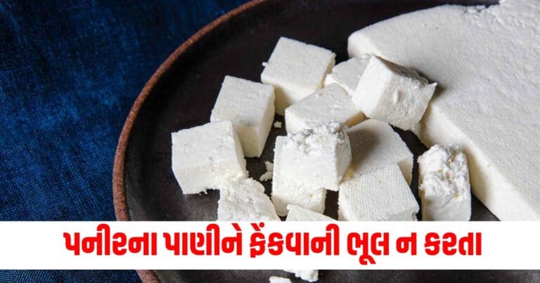 Food Tips ,Latest Food News In Gujarati, live food update , food headline, today’s food recipe, current food recipe, top food recipe, latest food update, live food recipe, shantishram food recipe, food update, food news, food tips, latest food tips recipe, live food tips, shantishram food tips,