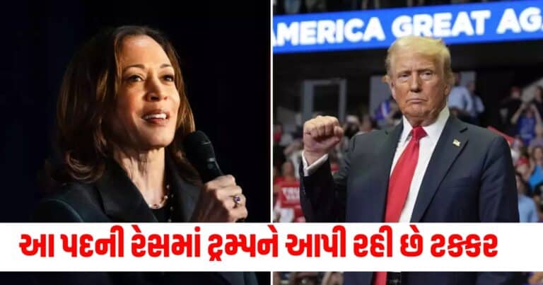 US Election 2024, international news, world news, international news in gujarati, world news in gujarati, latest international news, world news today, latest world news, world, breaking news, world news headlines, world news live, world news today, world breaking news, International Live Update, International Today’s Update