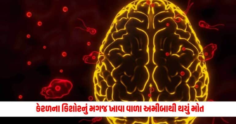 Kerela News: કેરળના કિશોરનું મગજ ખાવા વાળા અમીબાથી થયું મોત