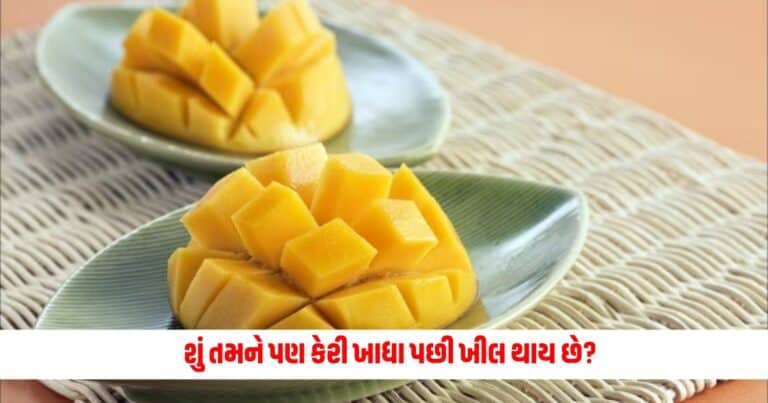 Mango Side Effects:  શું તમને પણ કેરી ખાધા પછી ખીલ થાય છે? તો જાણો કારણ