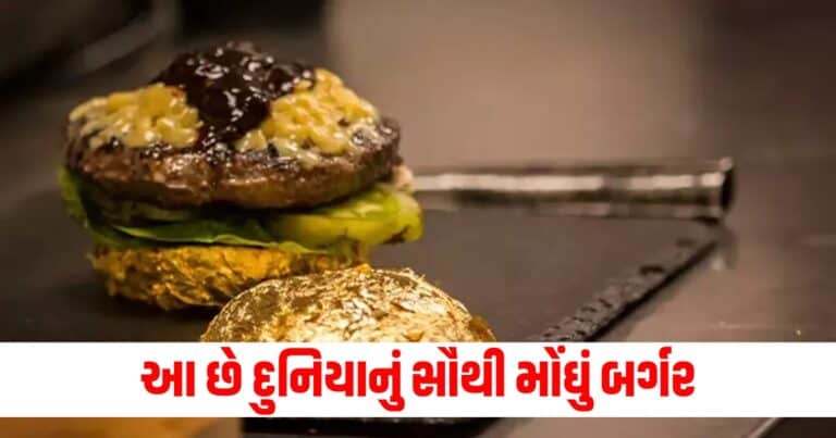 Most Expensive Burger Latest offbeat news, live offbeat update, top offbeat news, offbeat update, offbeat news, offbeat headline, shantishram offbeat update, shantishram news, Gujarat, india, today’s offbeat update, current offbeatnews update,