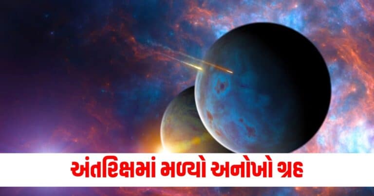 Universe News,Latest offbeat news, live offbeat update, top offbeat news, offbeat update, offbeat news, offbeat headline, offbeat update, Gujarat, india, today’s offbeat update, current offbeatnews update,