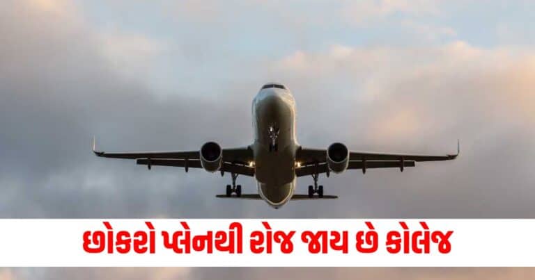 Latest offbeat news, live offbeat update, top offbeat news, offbeat update, offbeat news, offbeat headline, shantishram offbeat update, shantishram news, Gujarat, india, today’s offbeat update, current offbeatnews update,