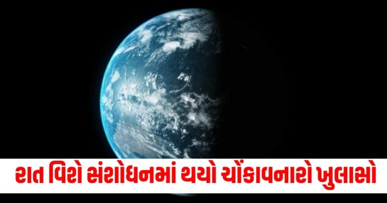 Offbeat, Latest offbeat news, live offbeat update, top offbeat news, offbeat update, offbeat news, offbeat headline, offbeat update, Gujarat, india, today’s offbeat update, current offbeatnews update,