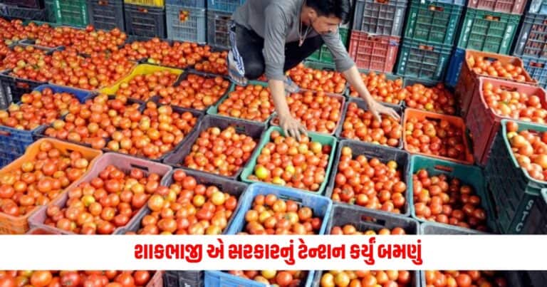 Vegetable Price Hike: આ સ્કીમ કામ ન આવી, બટાકા, ડુંગળી અને ટામેટાંએ સરકારનું ટેન્શન કર્યું બમણું