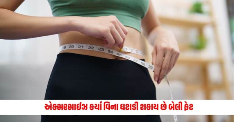 Weight Loss Without Exercise: એક્સરસાઈઝ કર્યા વિના ઘટાડી શકાય છે બેલી ફેટ, આ રીત છે ફાયદાકારક