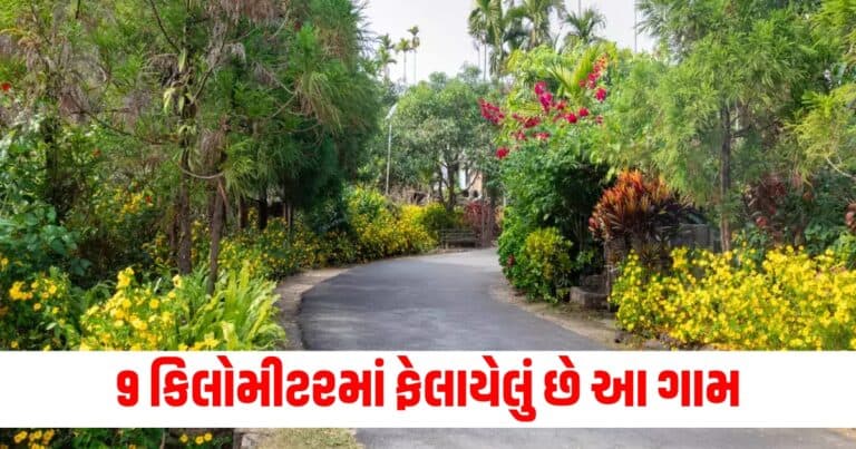 Offbeat,Latest offbeat news, live offbeat update, top offbeat news, offbeat update, offbeat news, offbeat headline, offbeat update, Gujarat, india, today’s offbeat update, current offbeatnews update,