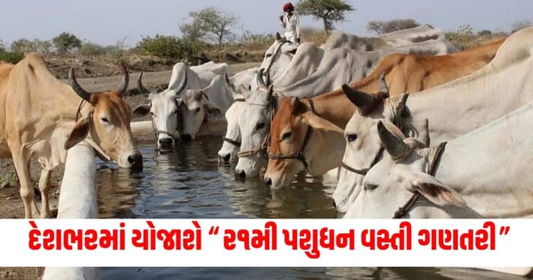 21st Livestock Census, gujarat news, gujarat news today, latest news gujarat, gujarat news live, today gujarat news, gujarat news in gujarati, latest gujarat news, news gujarat, gujarat top news, latest gujarat news, gujarat crime news, gujarat politics news, gujarat live, gujarat news live today, current news gujarat, latest news gujarat today, recent news in Gujarat, latest news gujarat today, gujarat news