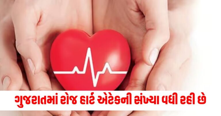 Gujarat News, Heart Attack Cases, Daily Heart Attack Cases, heart-issues,Gujarat,Health-care,Health-News,Gujarat-News