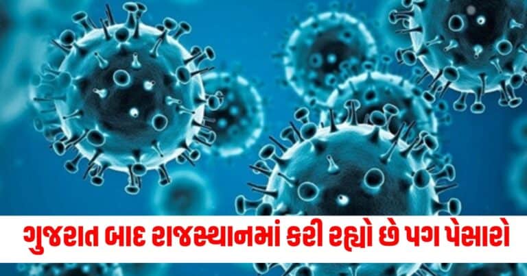 Chandipura Virus, gujarat news, gujarat news today, latest news gujarat, gujarat news live, today gujarat news, gujarat news in gujarati, latest gujarat news, news gujarat, gujarat top news, latest gujarat news, gujarat crime news, gujarat politics news, gujarat live, gujarat news live today, current news gujarat, latest news gujarat today, recent news in Gujarat, latest news gujarat today, gujarat news