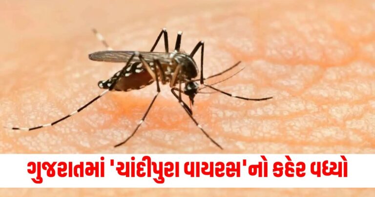 Chandipura Virus , ચંદીપુરા વાયરસ મૃત્યુ સમાચાર, ચાંદીપુરા વાયરસના કેસ, Chandipura virus,