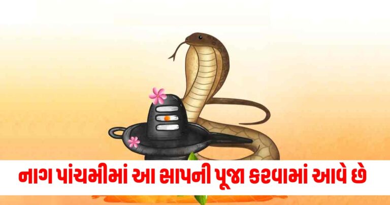 Nag Panchami, Religion News, Religion News In Gujarati, Religion Gujarati News, Latest Religion News, Latest Religion News In Gujarati, Religion Samachar, Religion News Today, Religion News in Gujarati, Latest Religion Samachar,