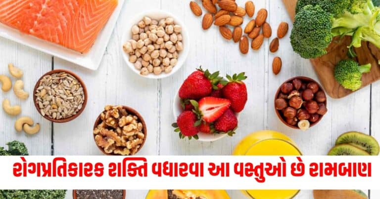 Immunity-Boosting Foods for Kids, Health Tips in Gujarati, Fitness Tips In Gujarati, Latest Health Update, Health Tips news, Live Health tips 2024, Health Fitness Tips 2024, Current Health Fitness Tips, Shantishram Health News, Health Fitness Update In Gujarati,Shantishram,