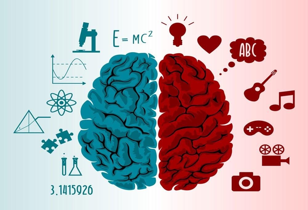 Health News : આ 5 પ્રકારના શોખ, જે IQ વધારે છે અને તમારા મનને ઝડપી બનાવશે