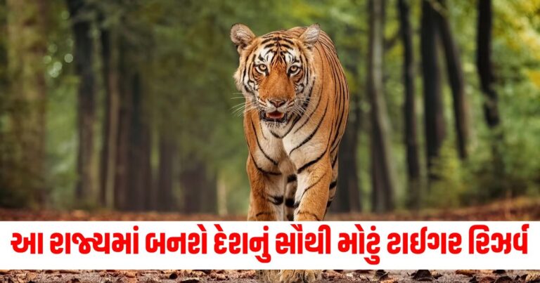 Tiger Reserve: આ રાજ્યમાં બનશે દેશનું ત્રીજું સૌથી મોટું ટાઈગર રિઝર્વ, આ હશે નામ