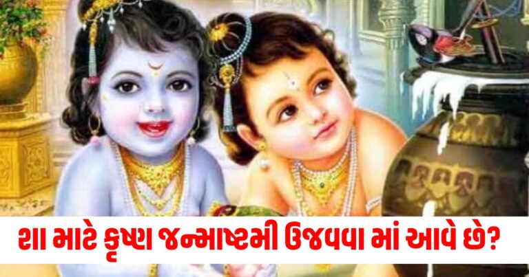 Janmashtami 2024 , Krishna janmashtami 2024, krishna janmashtami date and time, કૃષ્ણ જન્માષ્ટમી તારીખ સમય, જન્માષ્ટમી કૃષ્ણ પૂજા