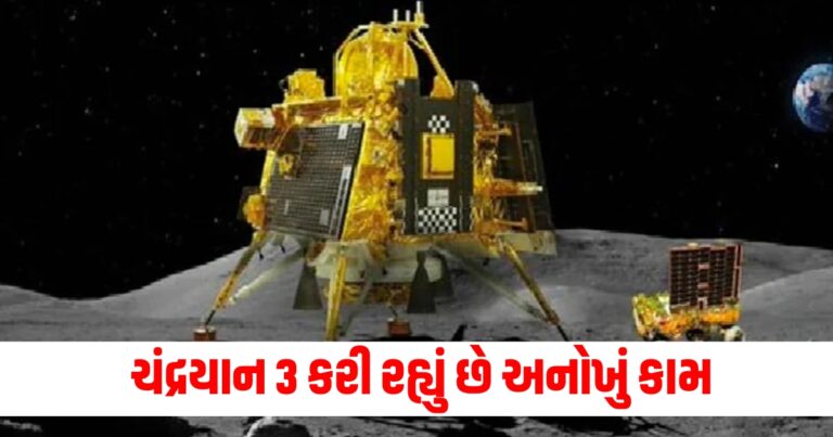 Chandrayaan 3, international news, world news, international news in gujarati, world news in gujarati, latest international news, world news today, latest world news, world, breaking news, world news headlines, world news live, world news today, world breaking news, International Live Update, International Today’s Update, આંતરરાષ્ટ્રીય સમાચાર