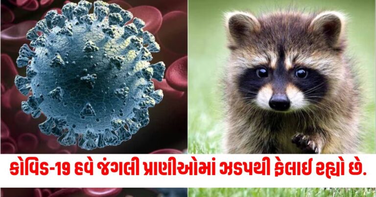 International News, covid,virus,animals,world,wild, COVID-19 in Animals, Wildlife COVID-19 Cases,