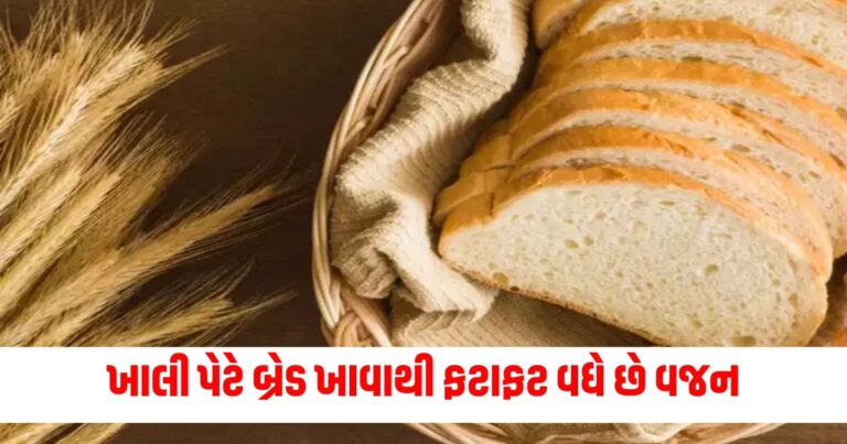 Bread Side Effects, Weight Gain Tips, Healthy Eating Habits, Empty Stomach Bread Consumption, Bread and Obesity,