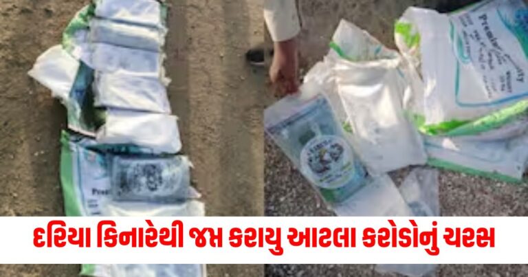 નવસારી દરિયા કિનારે જપ્ત, ચરસ જપ્ત નવસારી, ગુજરાત દરિયા કિનારે ચરસ, નવસારી પોલીસ રેડ, કરોડોનું ચરસ જપ્ત,