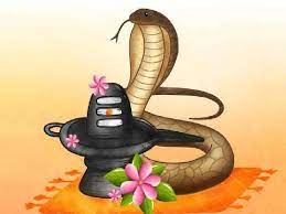 Nag Panchami : વાસુકી સહિત આ 5 સાપની પૂજા કરવામાં આવે છે